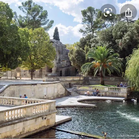 Villa Les Oliviers 10 Pers Piscine Au Calme 4 Etoiles