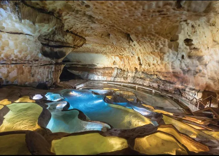 Les Oliviers 10 Pers Piscine Au Calme 4 Etoiles *